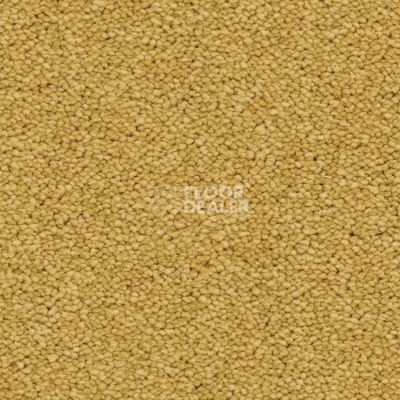 Ковровая плитка Balsan Dolce Vita 330 фото 2 | FLOORDEALER